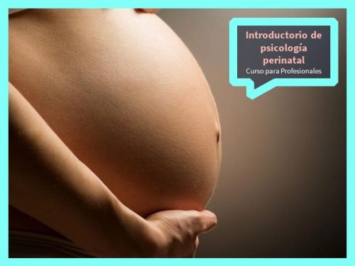 Curso introductorio: Psicología Perinatal