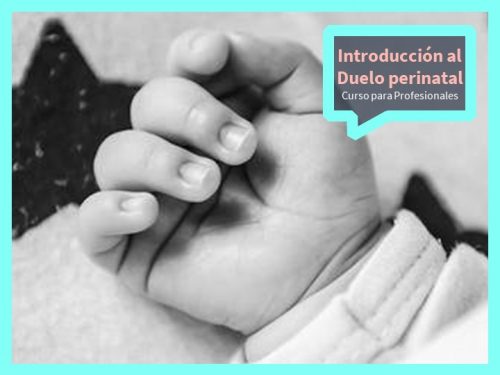 Curso en línea: Duelo Perinatal