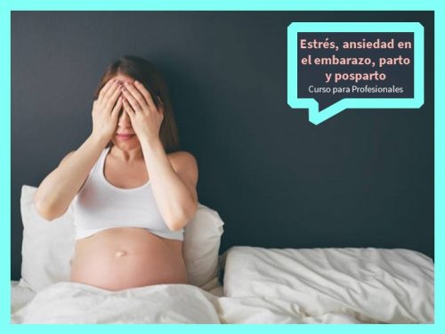Estrés, ansiedad en el embarazo y parto para profesionales
