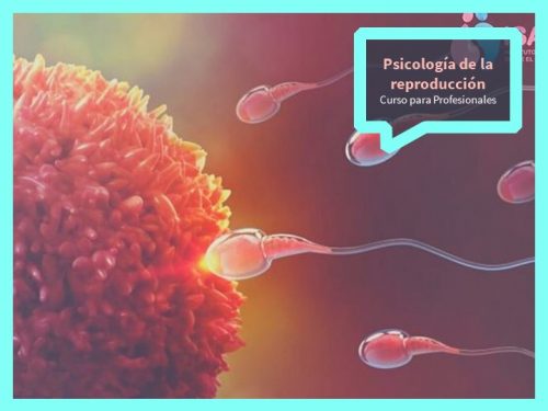 Psicología de la reproducción humana
