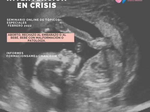 Seminario online de tópicos especiales
