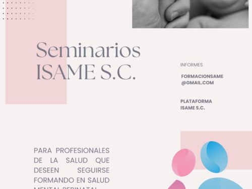 Seminarios de verano ISAME S.C.