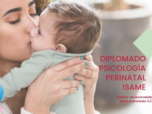 Diplomado Psicología Perinatal VI edición.